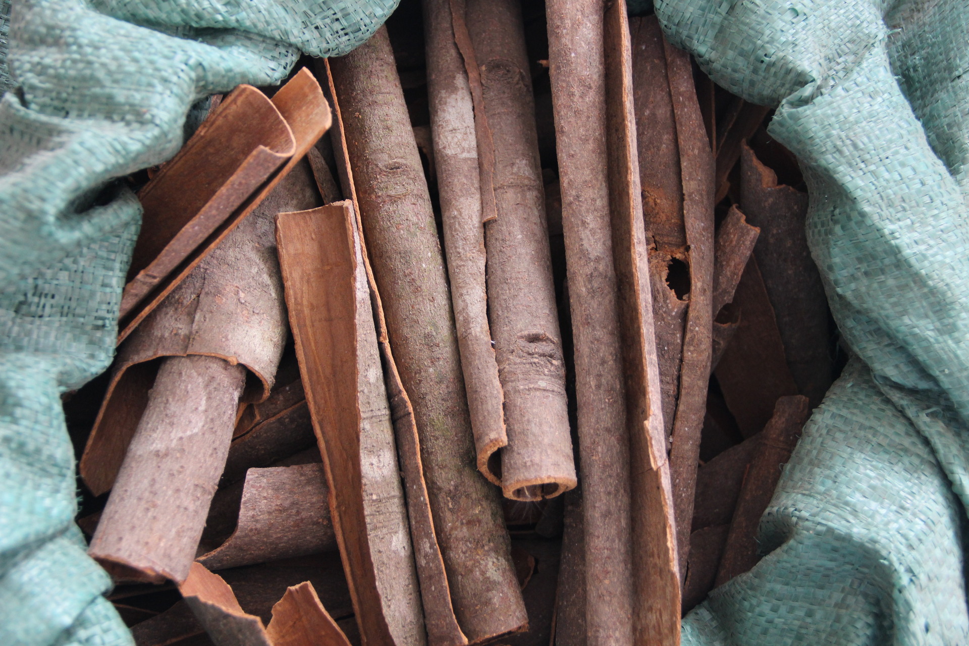 专业生产物美价廉广西桂皮散装500g肉桂中药材中厚桂通一斤起批