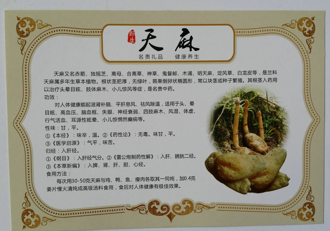 昭通小草坝天麻干货 无硫纯野生小天麻批发 可磨粉切片 基地直销