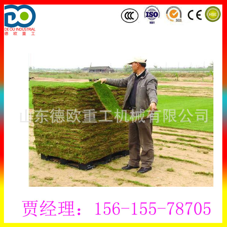 马尼拉草起草皮机 刀片可定做 草坪剪草机 本田动力 高羊茅起草机