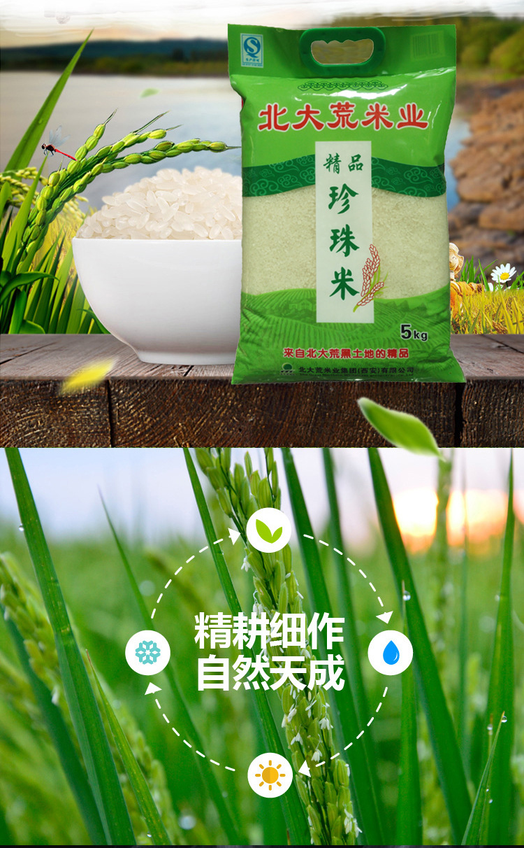 北大荒精品珍珠米 黑龙江产地直供 东北特产 黑土地 大米批.