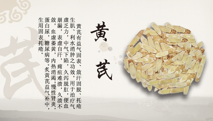 10:1  药理功用 黄芪具有补气固表,利尿托毒,排脓,敛疮生肌的功效