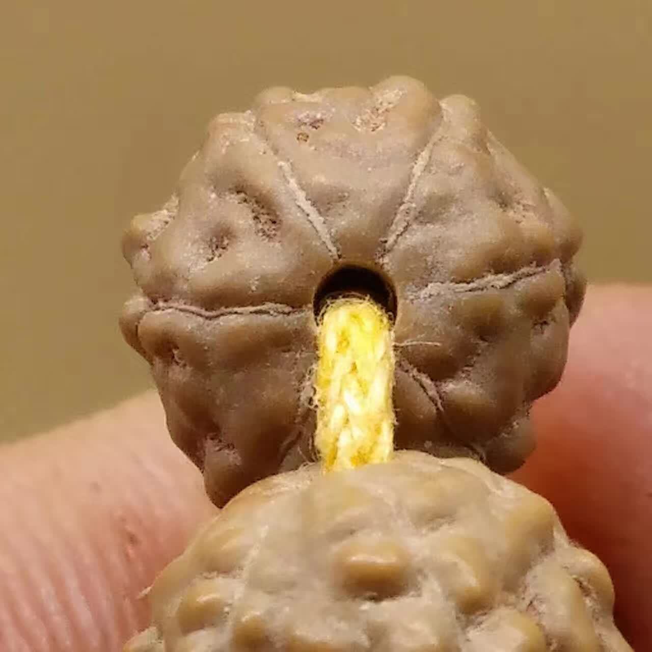 暗香阁 尼泊尔蛤蟆背5瓣6瓣小金刚菩提手链 姜黄皮114满肉手链男