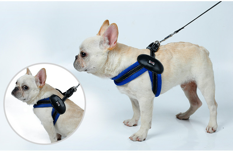 跨境专供v型网布狗狗胸背带牵引绳 遛狗绳狗链子中型大型狗带