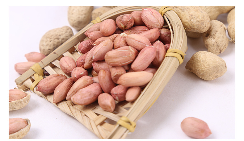 带壳花生 现货批发双粒花生果双仁山东红皮花生 海花花生果