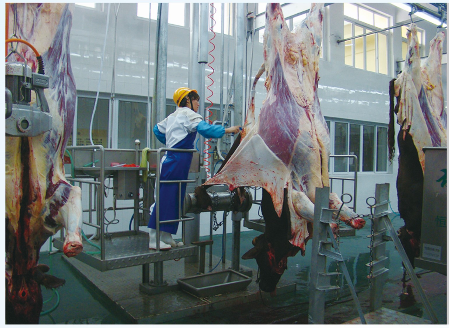 肉牛屠宰设备 猪牛羊屠宰成套流水线 打毛机 提升机 滑轮叉档