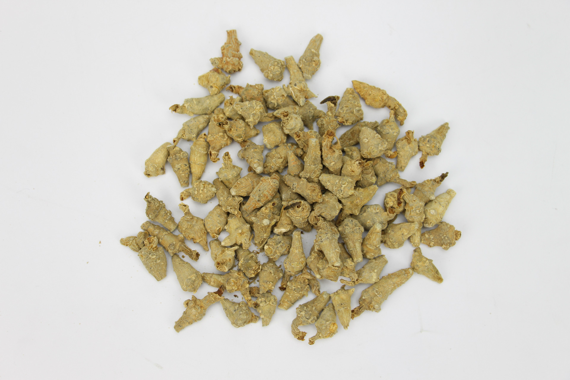 批发水洗三七籽条 一年生三七子条 500克 文山发货 可代打超细粉