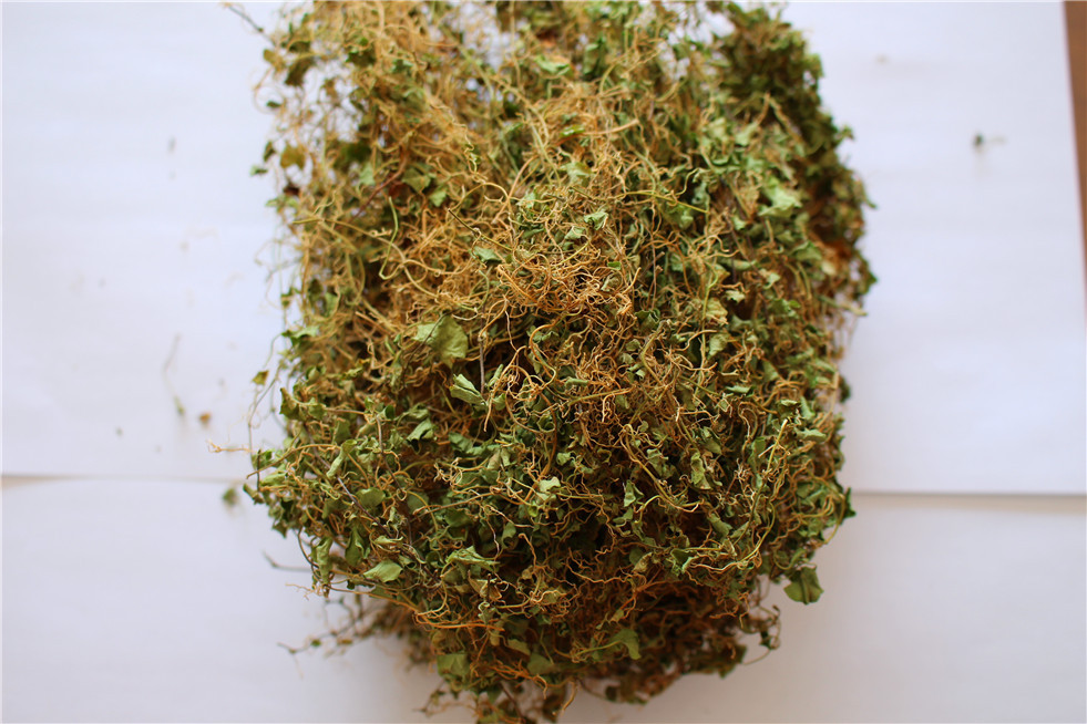 马蹄金 产地直销 中药 中药材 中药批发