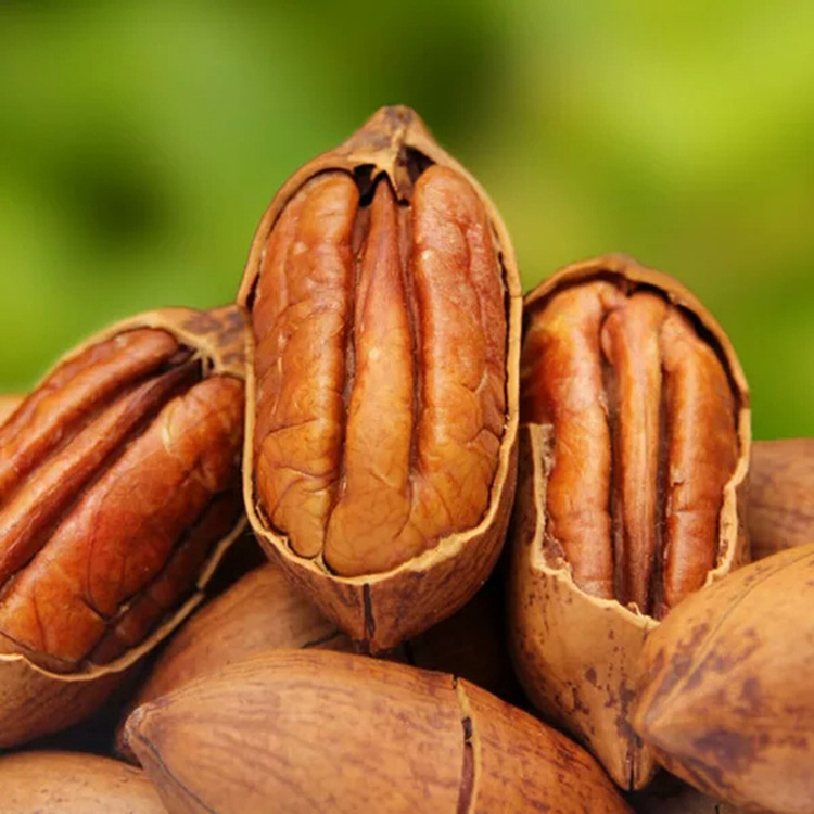 大颗粒原色未深加工 碧根果 皮薄肉厚 22年新货 新疆直发