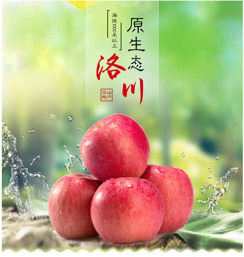 2016现摘农家果园现摘新鲜 正宗洛川红富士苹果 特价10斤