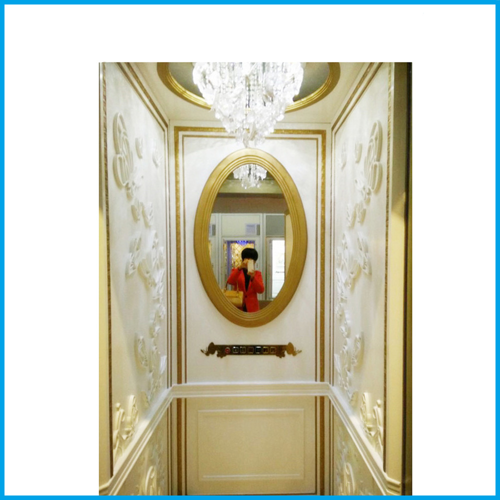 实木装潢轿厢升降电梯 伯朗特家用防爆电梯 人货两用家用别墅电梯