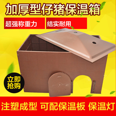 雪猪子油功效与作用_子猪如何保温_扛霸子 猪gg