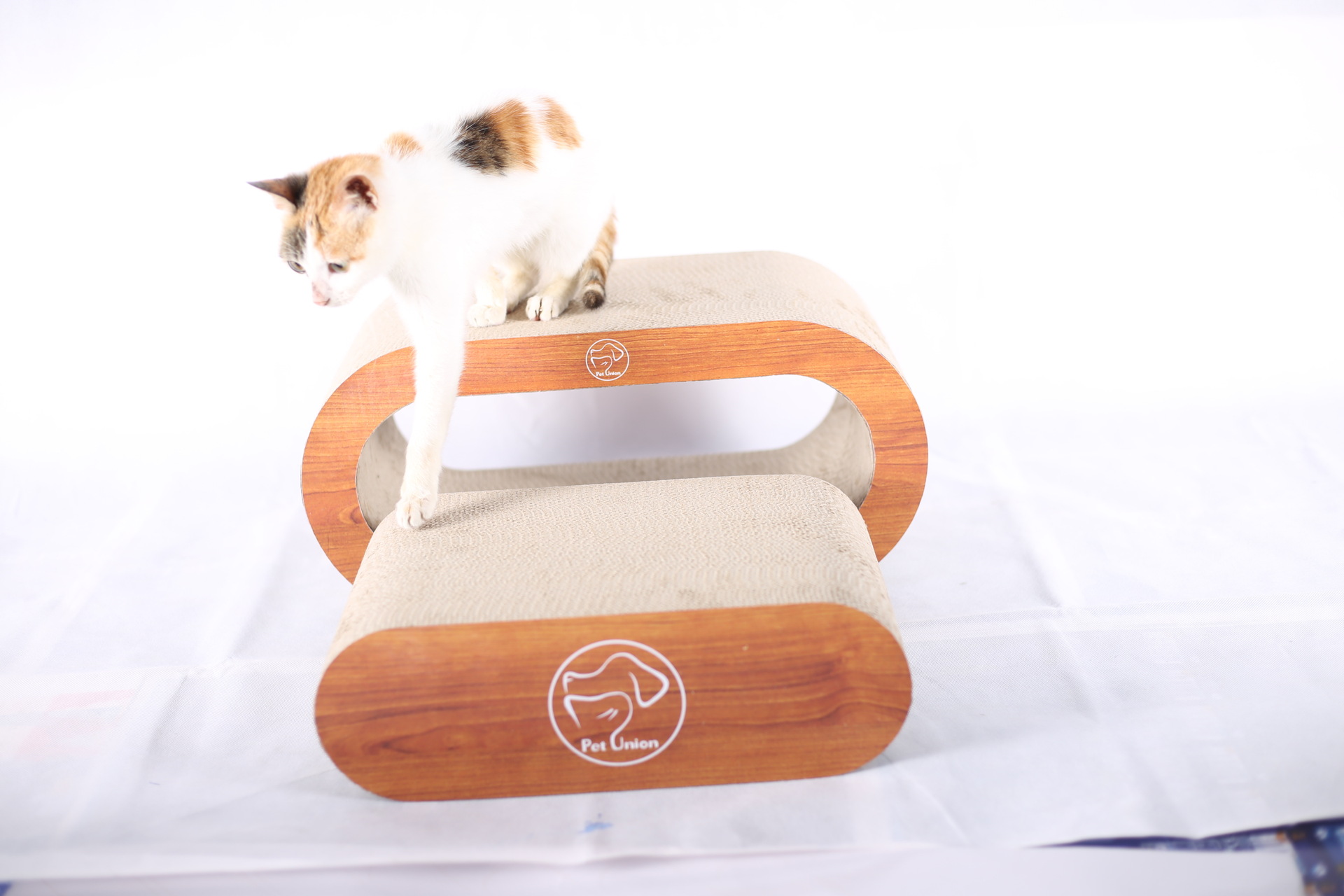 【东莞市宠社宠物用品有限公司】运营商介绍 - 工具