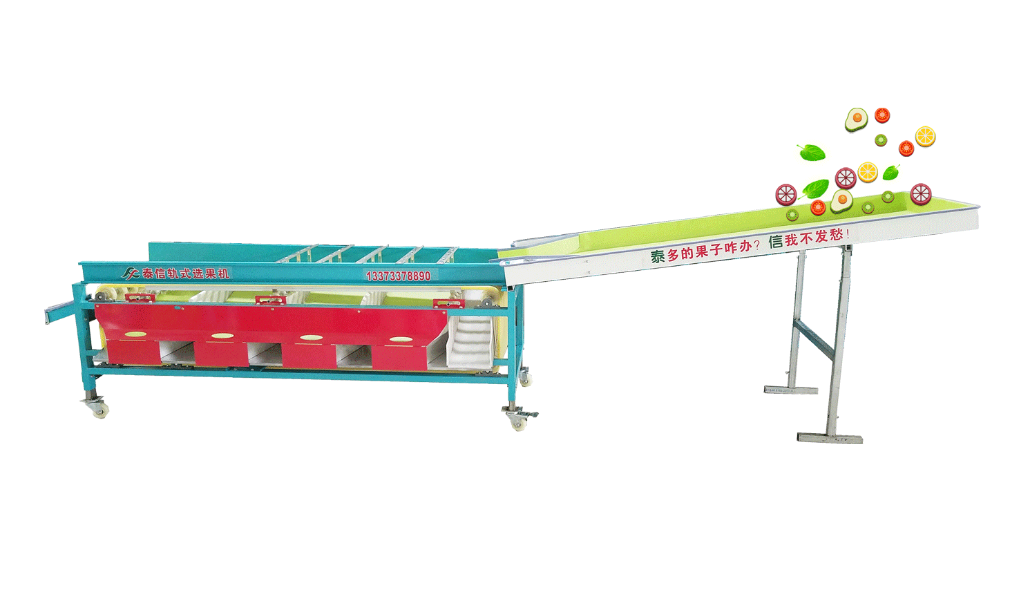 【图】泰信选果设备分级筛选去叶去吐去杂机-灰枣专用款_分离设备
