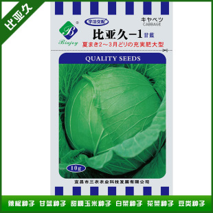 经销批发日本进口越冬高产比亚久-1甘蓝种子 优质甘蓝种子