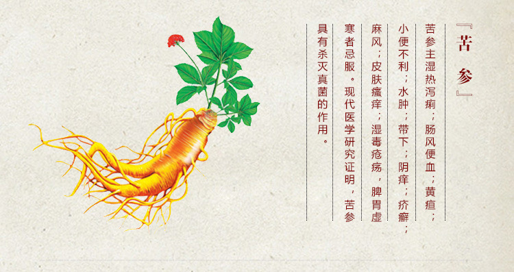 现货供应 苦参碱98% / 苦参提取物 100g小包装 批发直销 包邮