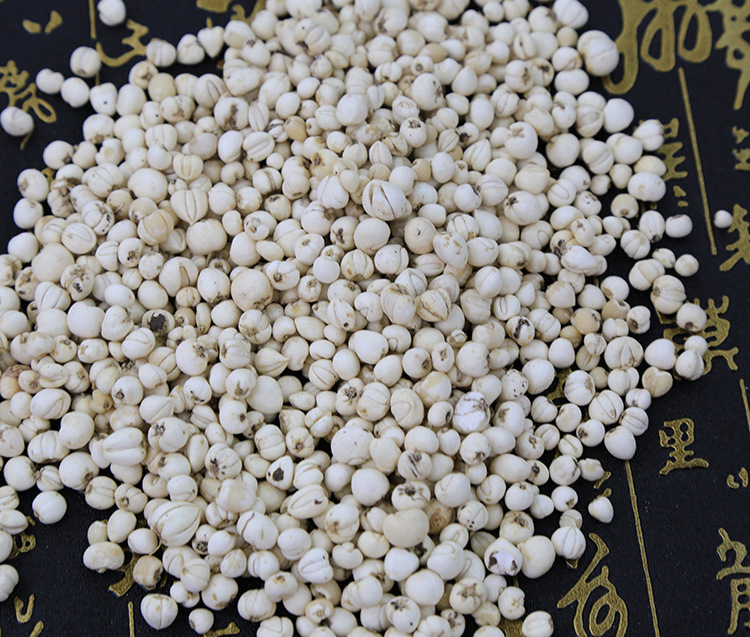 【盛世堂】批发正宗纯天然野生川贝母 珍珠贝 松贝 怀中抱月