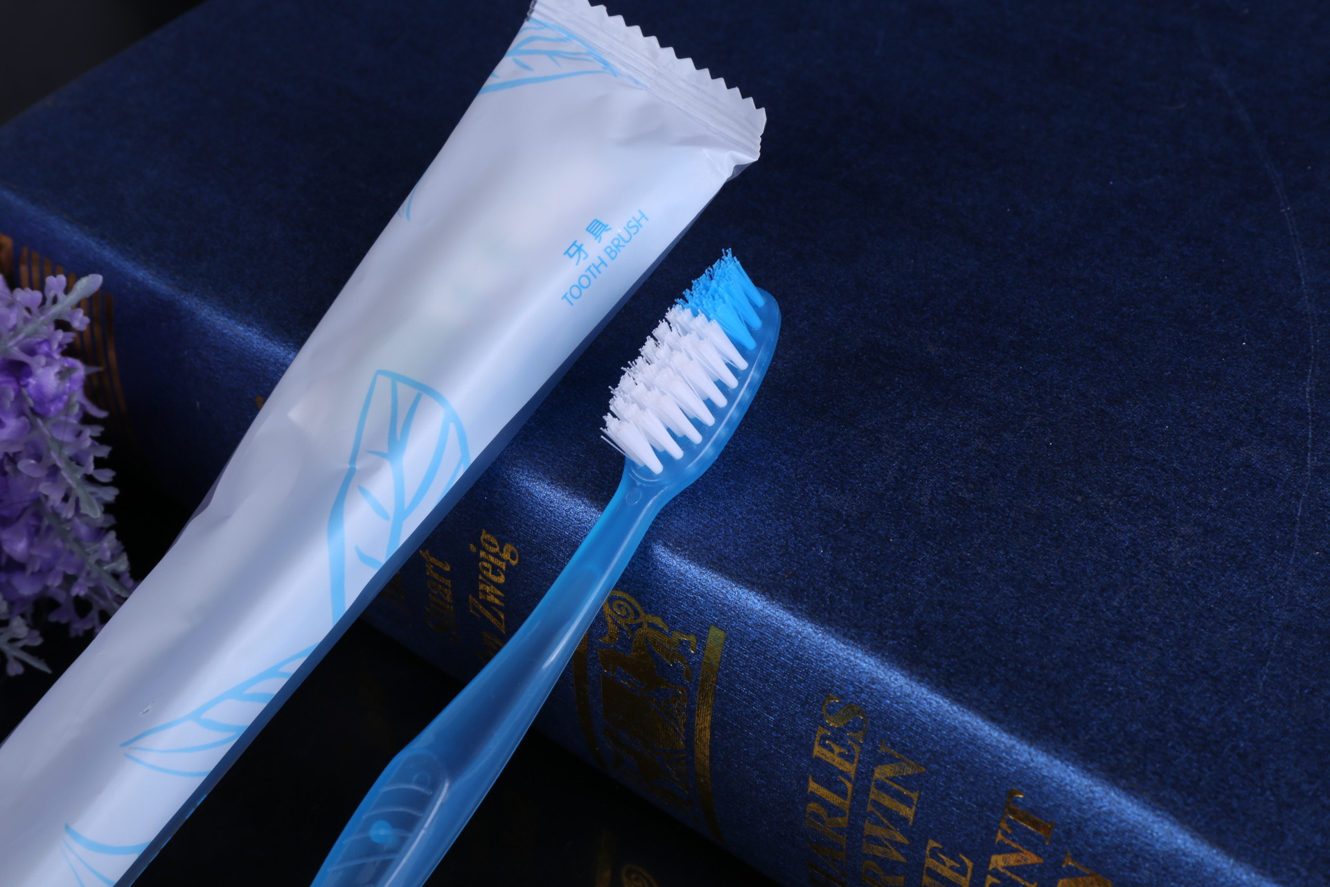 酒店一次性用品牙具背空型丙丝一次性牙刷3克金妹牙膏二合