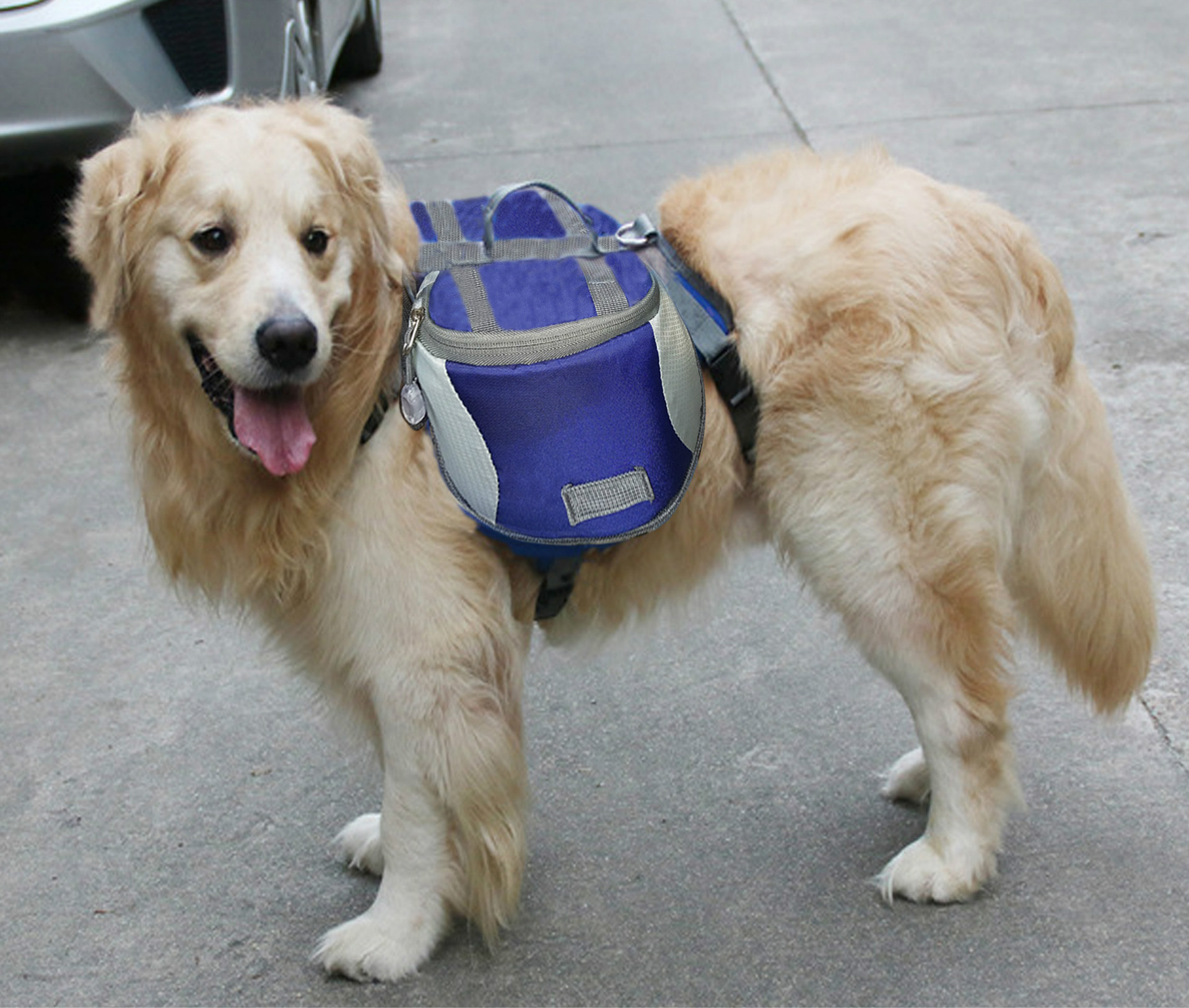 狗狗自背包 宠物狗驮包 金毛泰迪宠物旅行袋 宠物户外用品定做