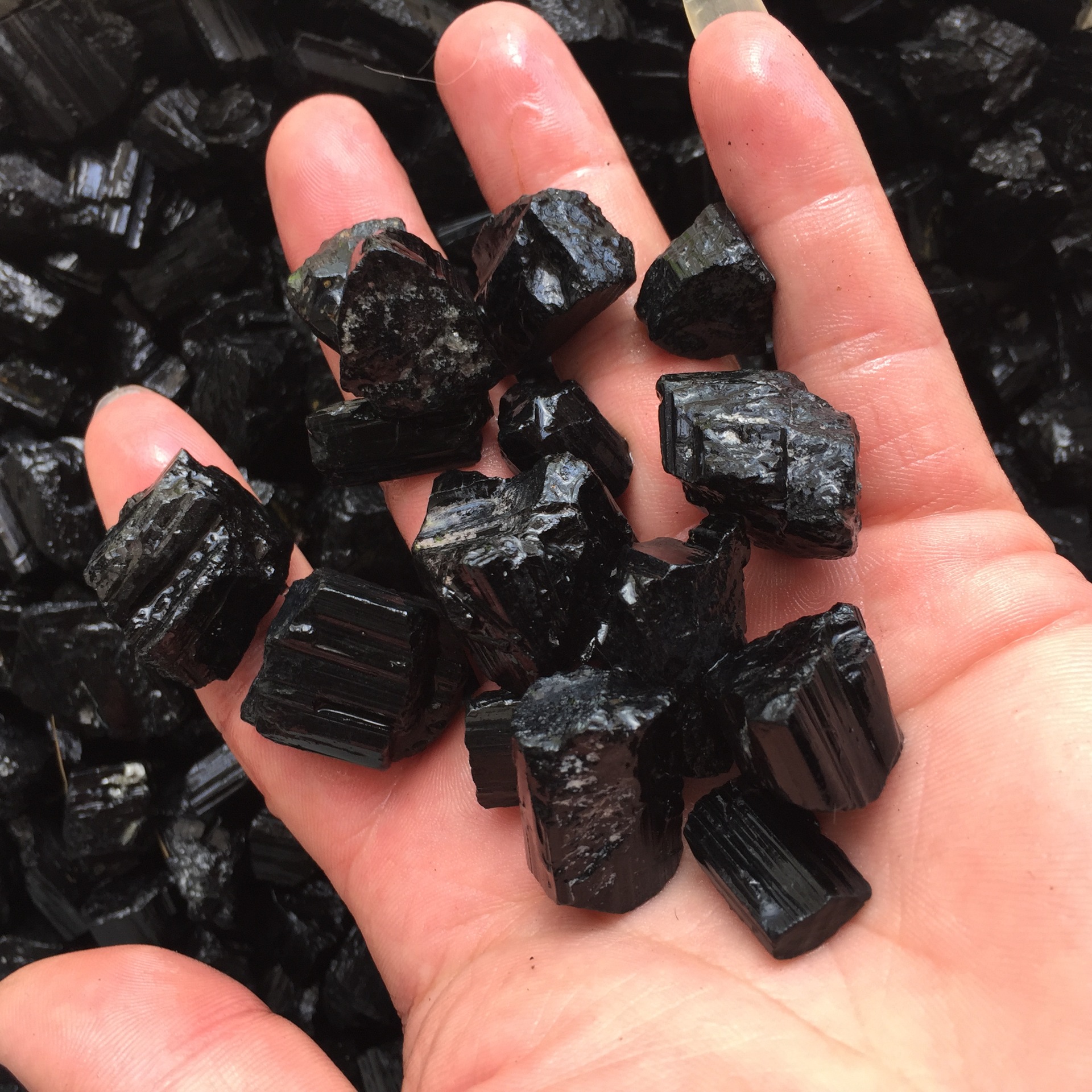 纯天然黑碧玺原石 厂家直销