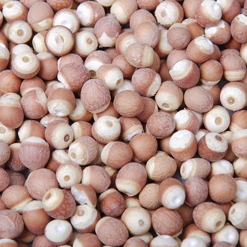 农家芡实鸡头米正品整颗红芡实500g药食同源滋补药用价值高有机