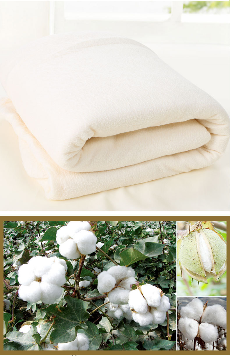 工厂直销 比多乐 婴儿棉被芯纯棉花抱被 蚕丝内胆