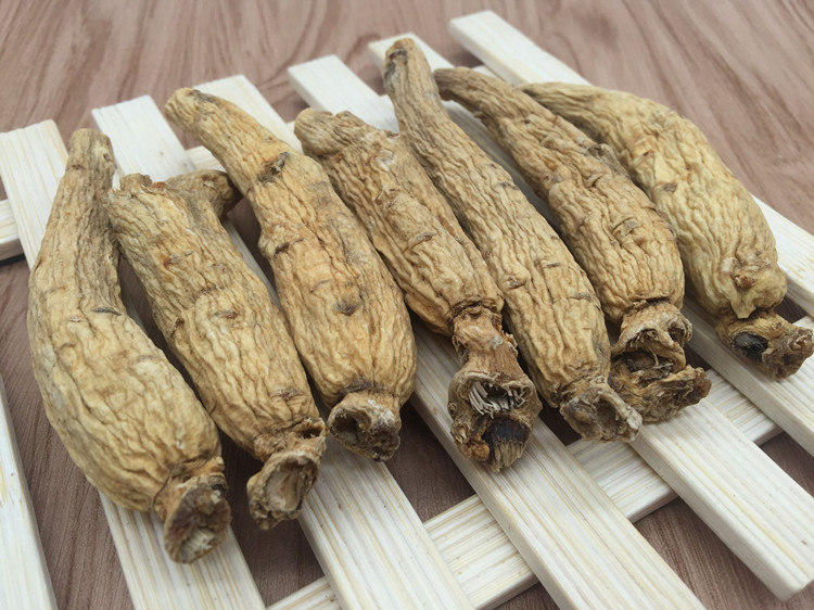 长白山东洋参批发 优质大力参 送礼佳品 一支20克 可免费切片