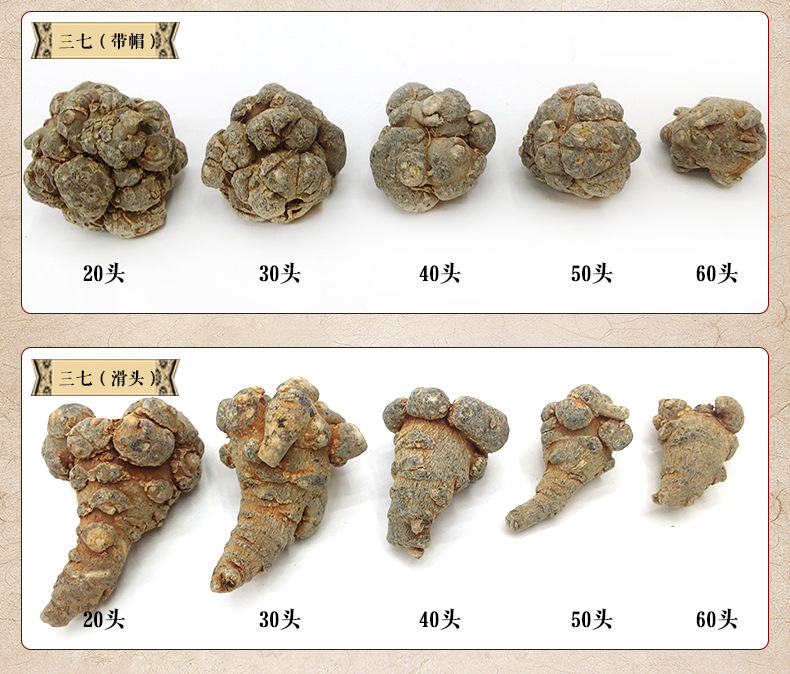 云南文山三七直销部 野生中药材田七20头30头40头 血三.