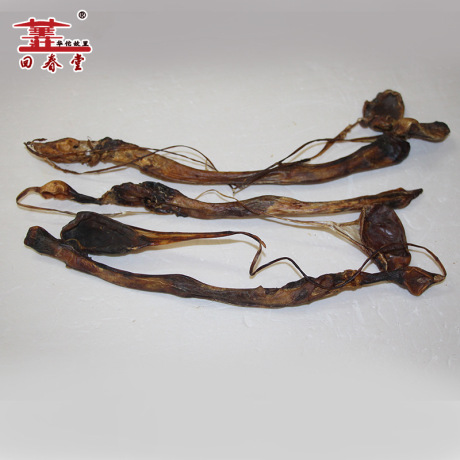 正品海狗肾传统滋补品肾虚暖阳提气旺神之泡酒良药