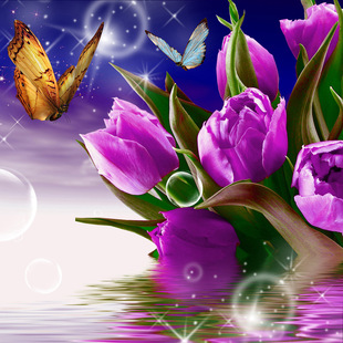 蝶恋花钻石画图片_蝶恋花钻石画图片大全 - 阿里巴巴