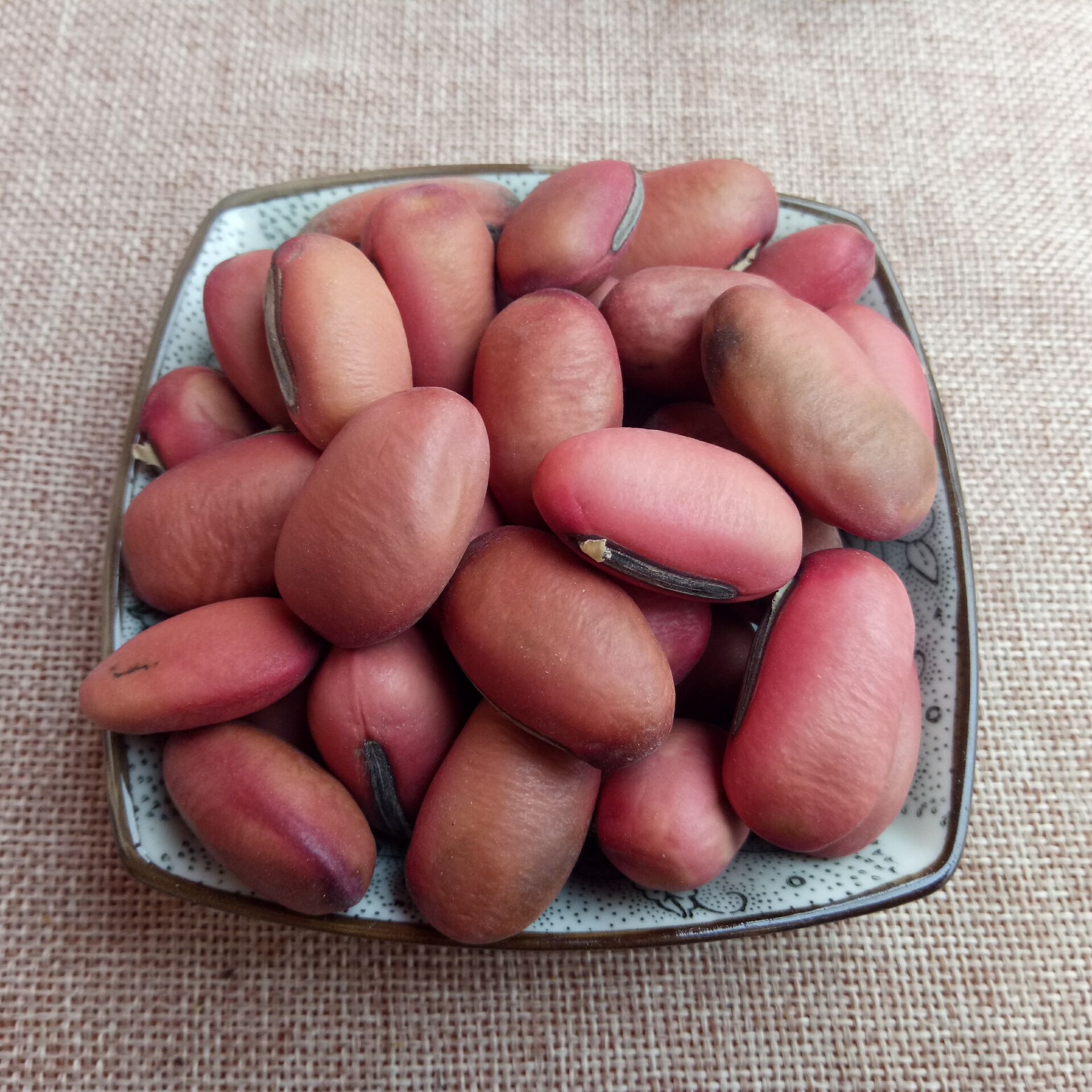 常富供应大刀豆 红刀豆 刀豆子 颗粒饱满 颜色均匀 可工艺品