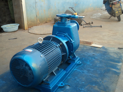 自吸泥浆泵zn80-65-11