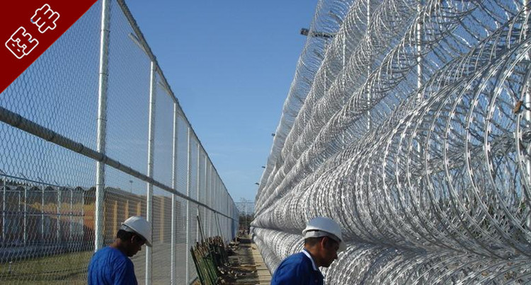 新疆看守所梅花刺护栏网/监狱钢网墙