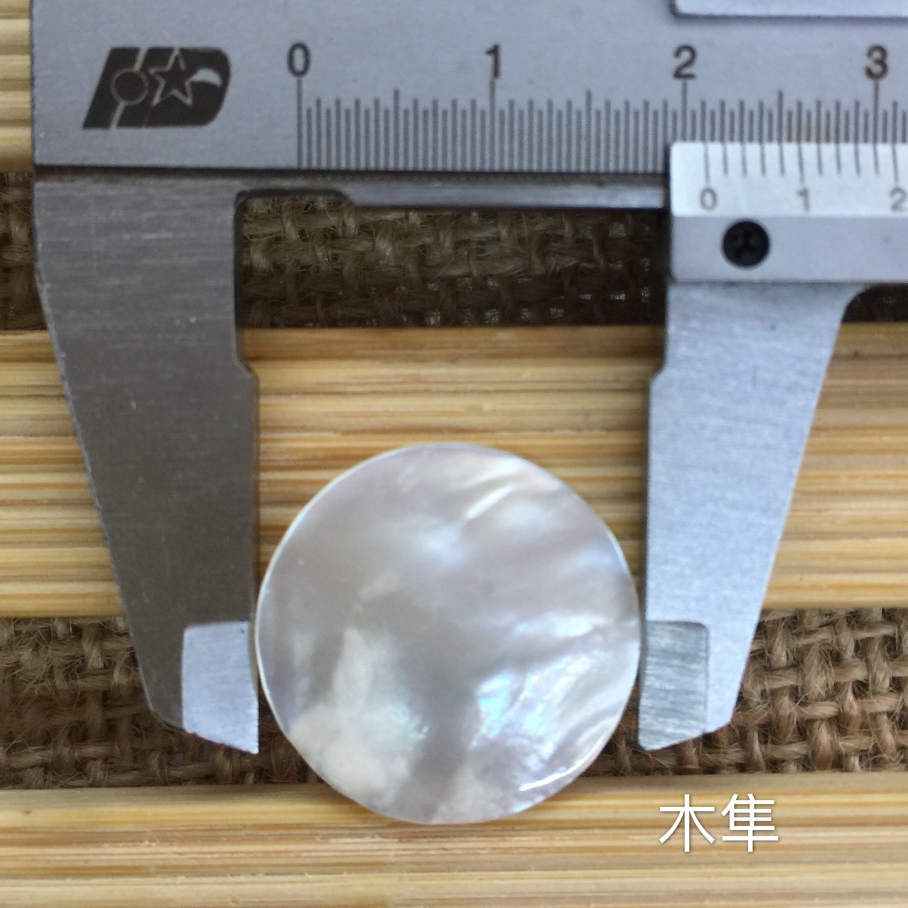 22mm白碟贝自然面圆形饰品diy配件手工材料