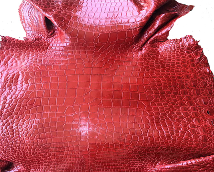 高档时尚 真鳄鱼皮 花皮