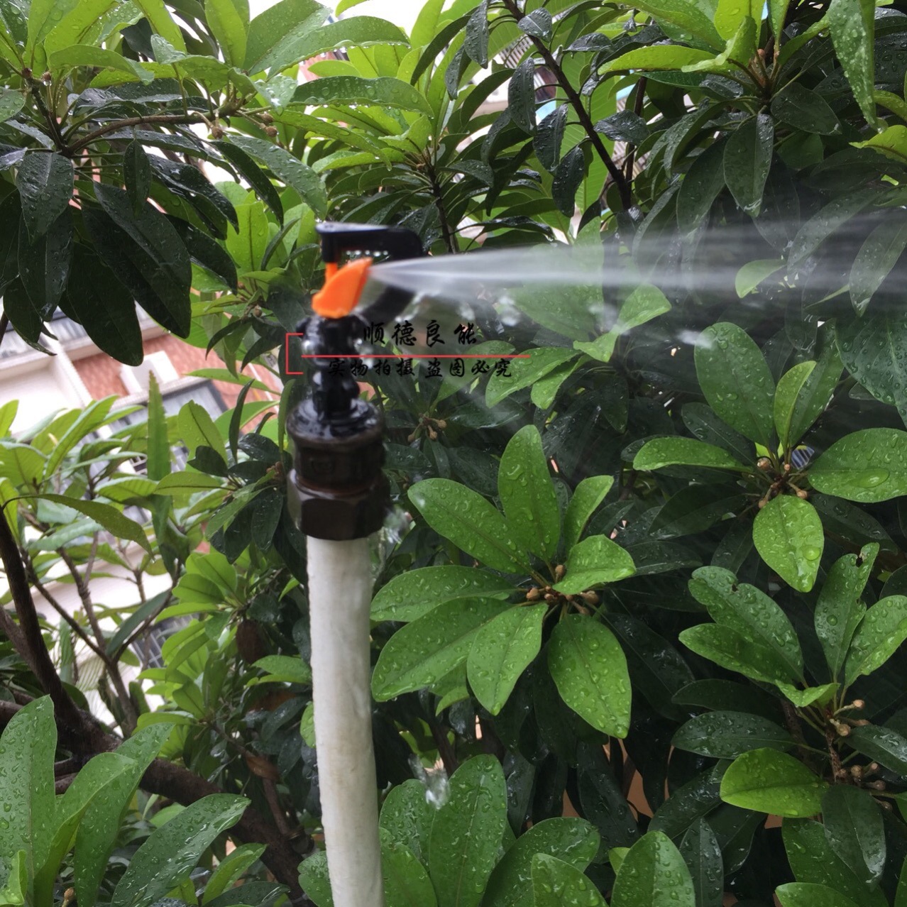 4分塑料半侧旋转喷头 温室园林绿化草坪草地花卉园艺大棚喷灌溉