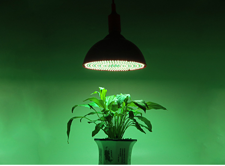 厂家直销20w30w50w防水透镜生鲜灯红色白色绿色猪肉灯.