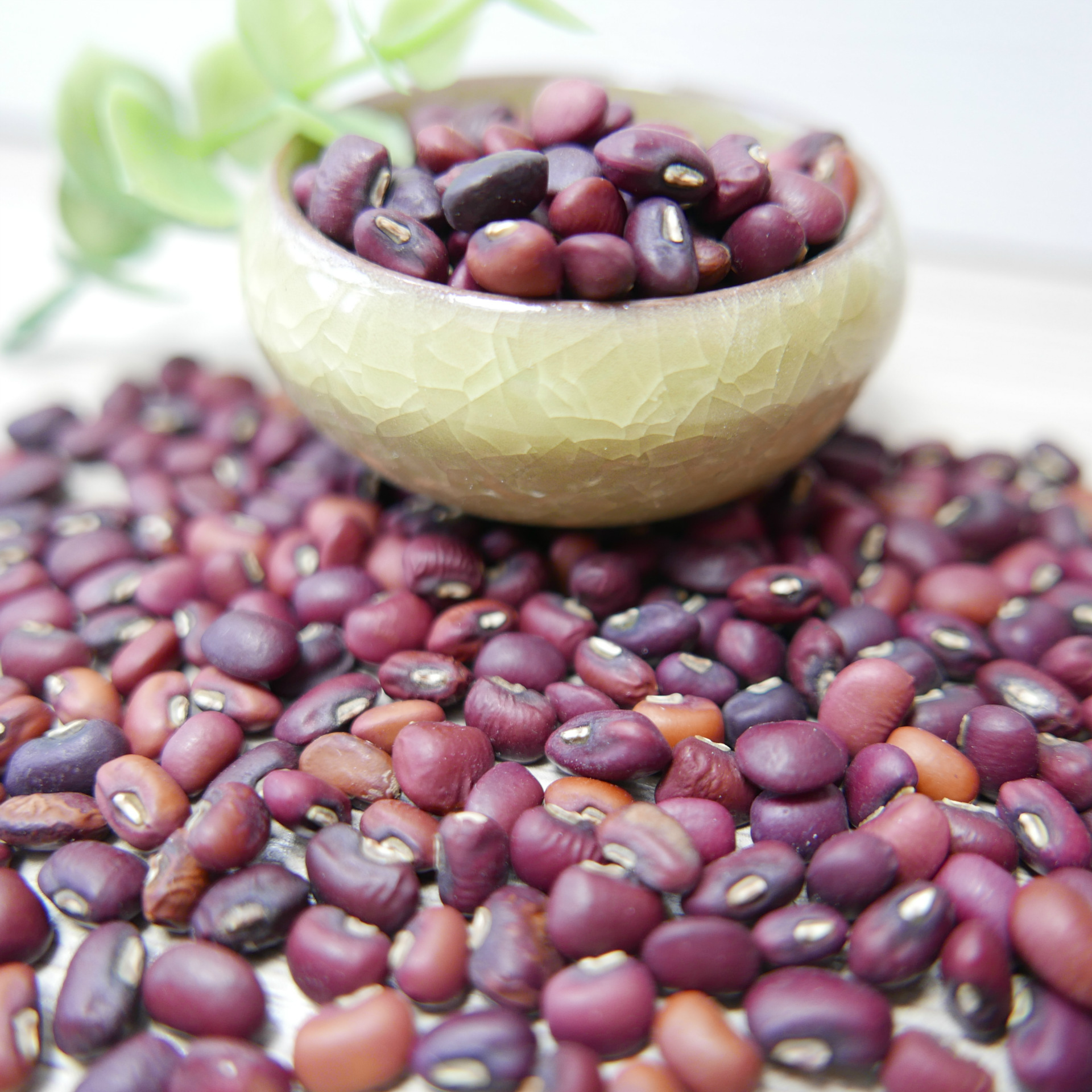 【河北省阳原县】供出口级 红豇豆