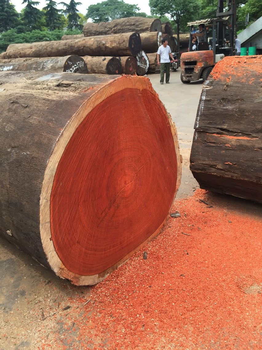 红花梨原木板材 非洲进口建筑工程用材红花梨木 非洲红花梨实木