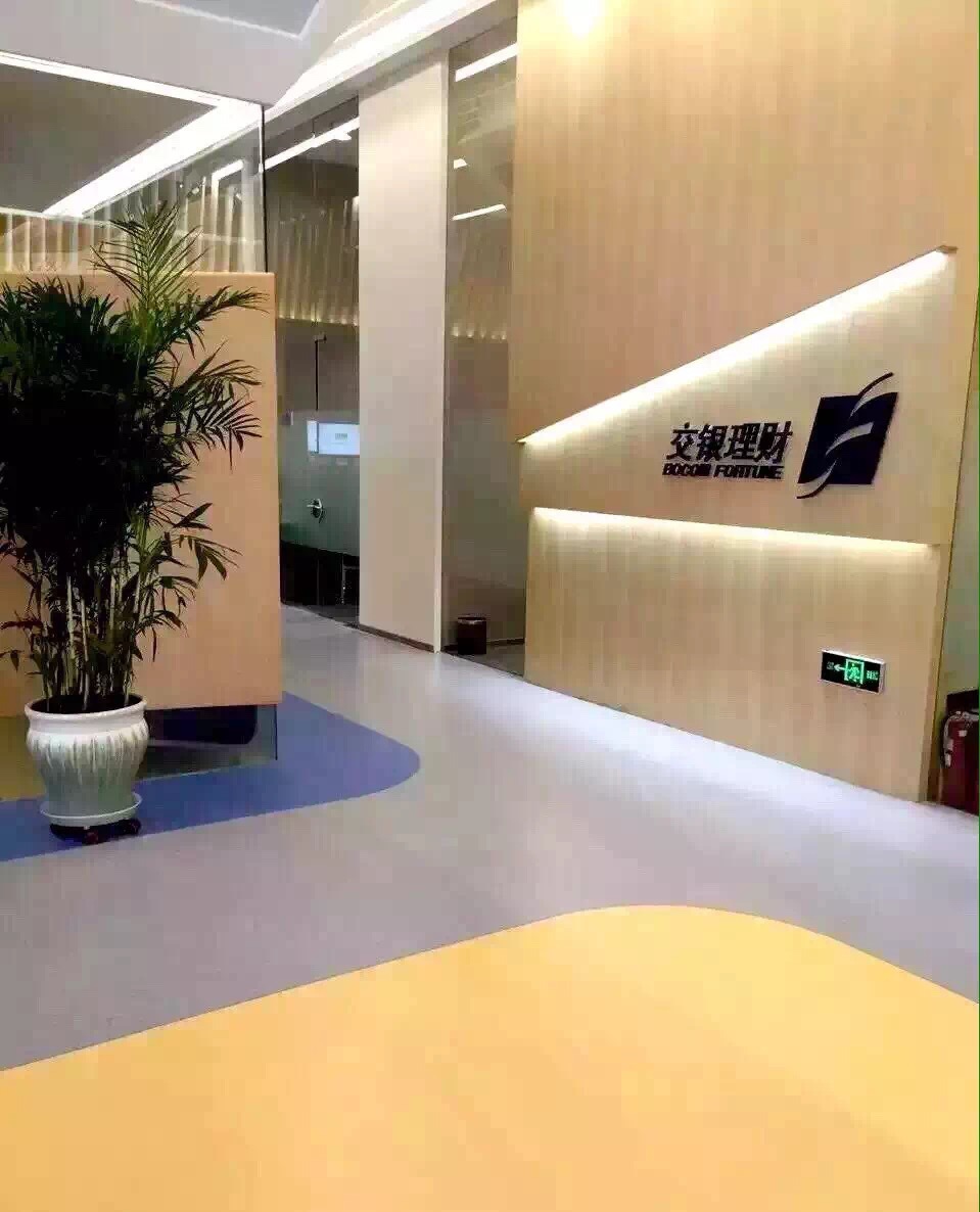 pvc纯色塑胶地板塑料地板幼儿园专用地板pvc卷材地板厂家直销