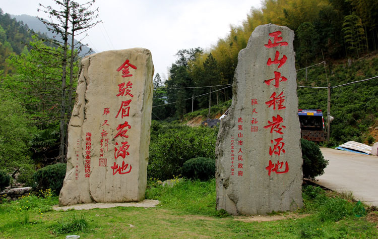 正山小种特级红茶茶叶武夷山桐木关散装新茶批发茶农