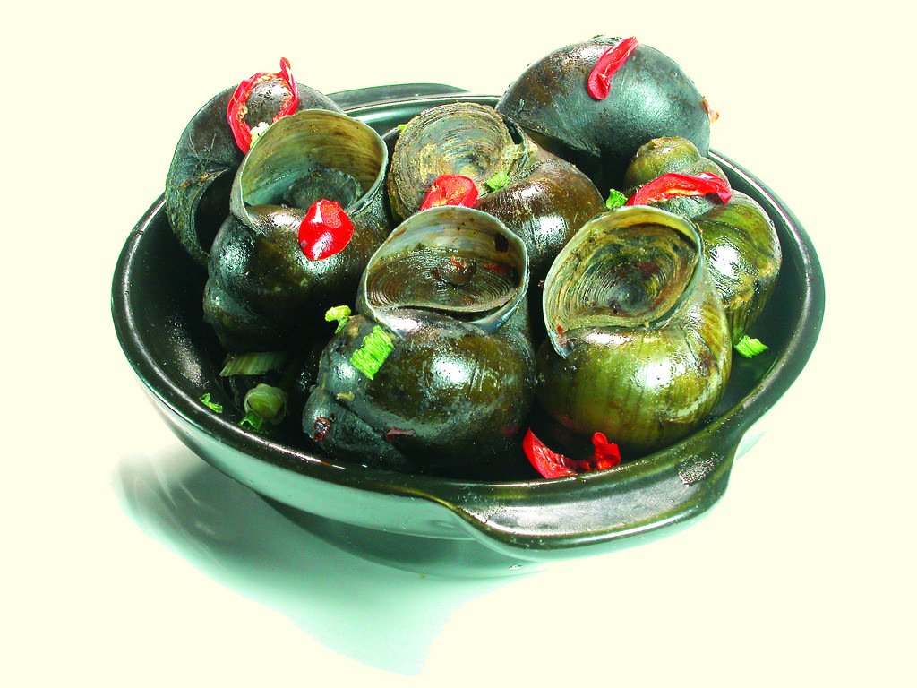 特种水产养殖 商品田螺 原生态防野生养殖 长年大量供应-渔具产业网