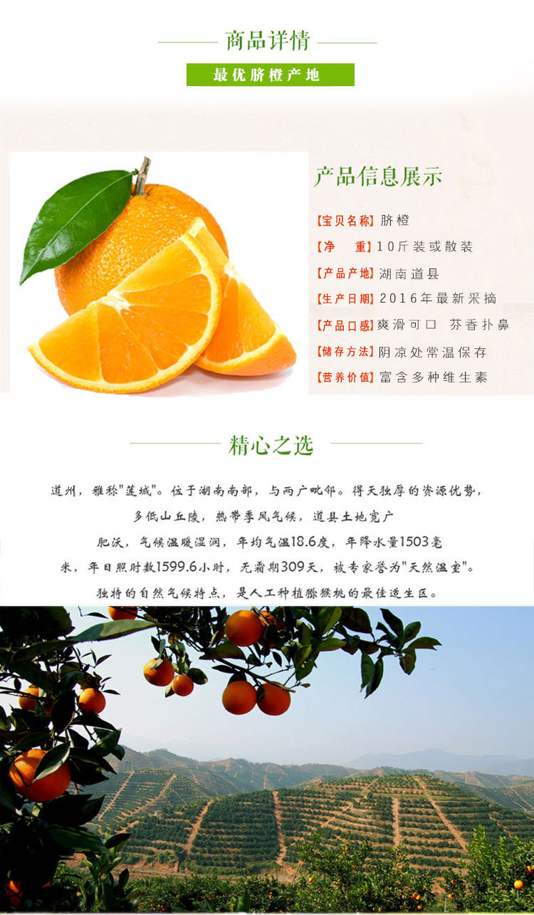 【农友】正宗道州脐橙 纽荷尔 新鲜水果道州甜橙子原生态果园直发