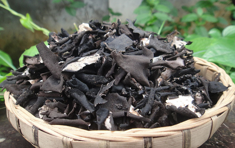 大别山野生干货岩耳 野生食用石耳 安徽岳西土特产50斤