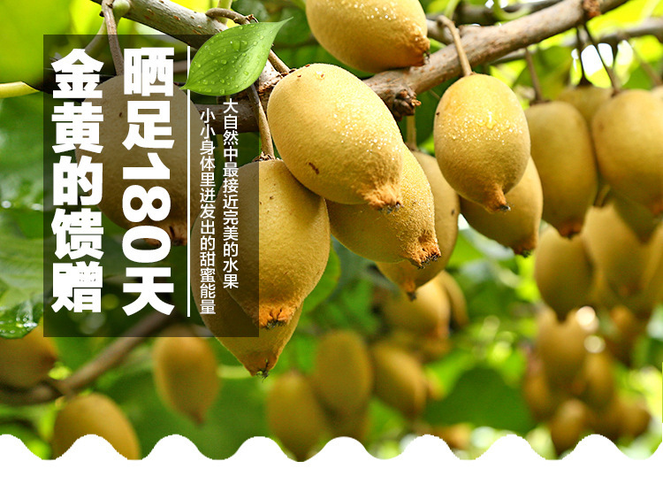 新西兰特产必购物清单图片