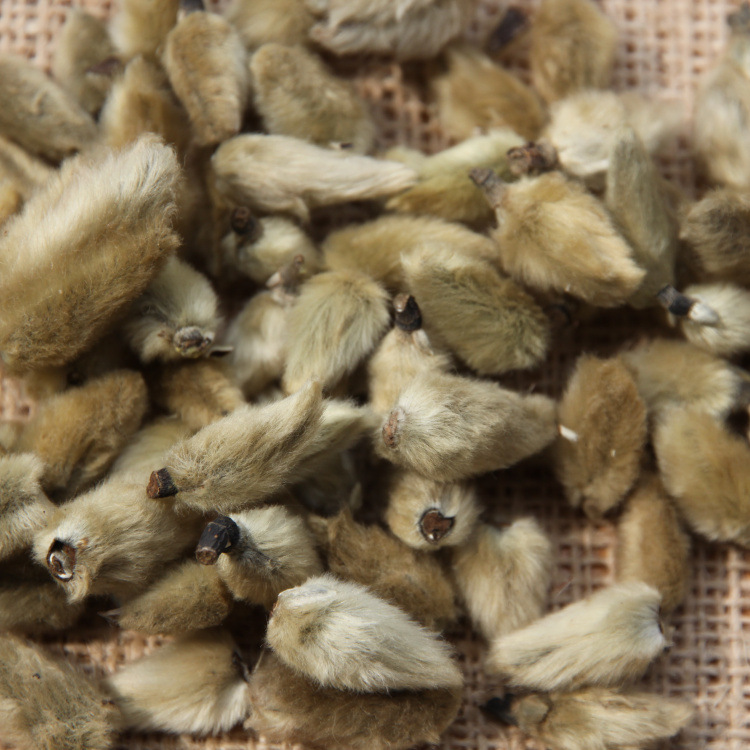 辛夷花 毛桃 500克 量大从优