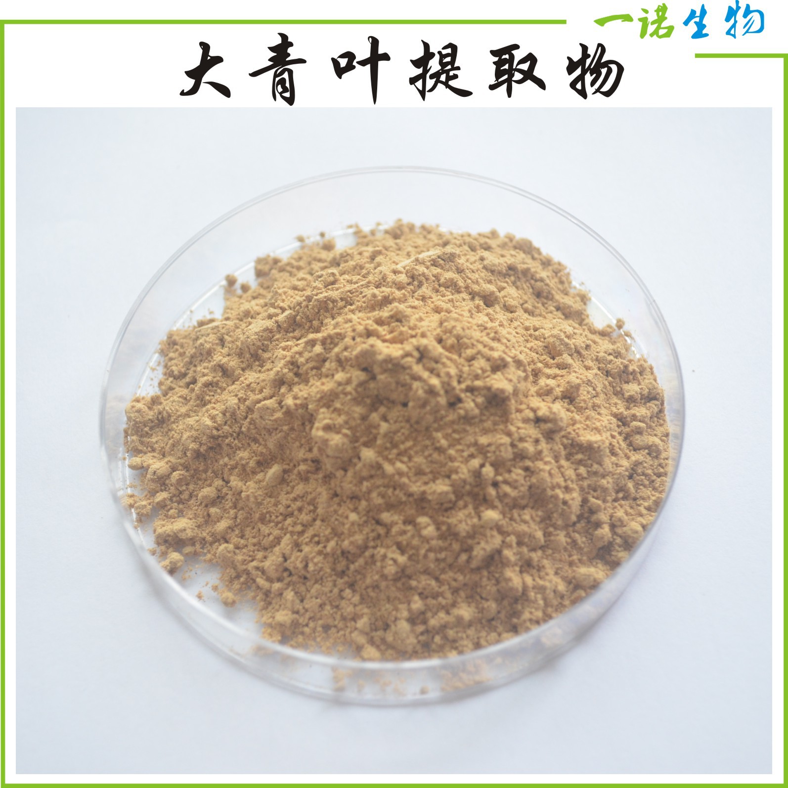 大青叶提取物 10:1规格 大青叶粉 含有大青叶黄酮 厂家现货