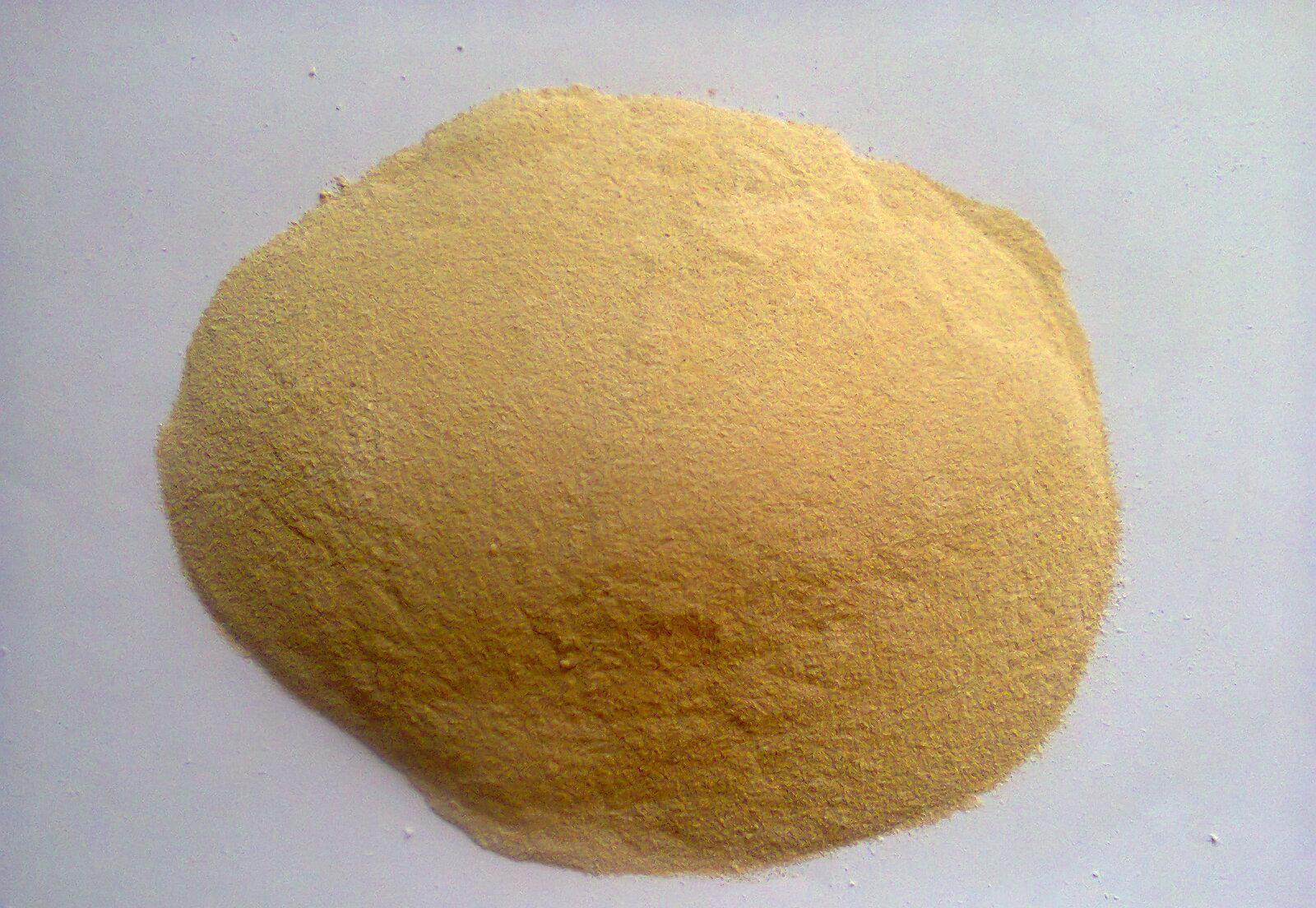 蚕豆提取物10:1 蚕豆粉 现货