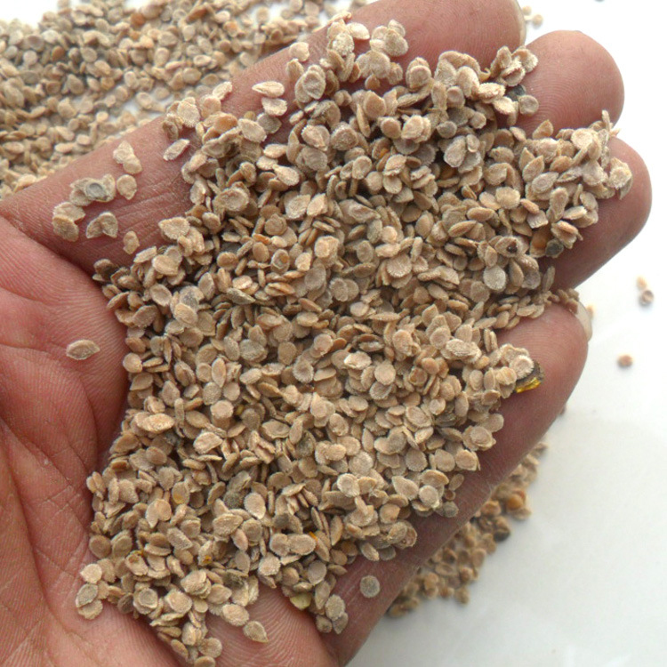 中药材 西红柿种子 西红柿子 西红柿籽 番茄子 番茄籽