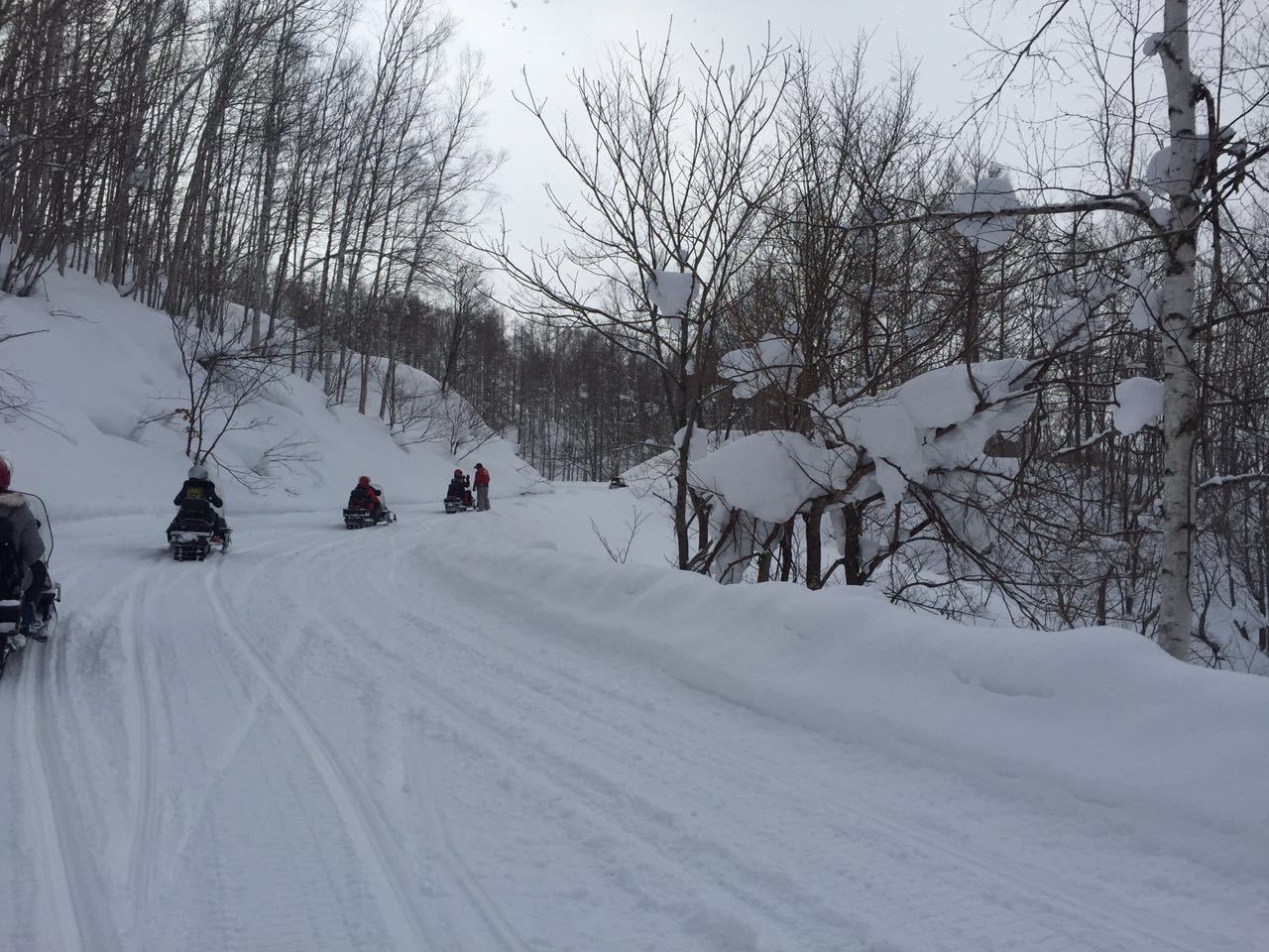 北海道的雪很好美!