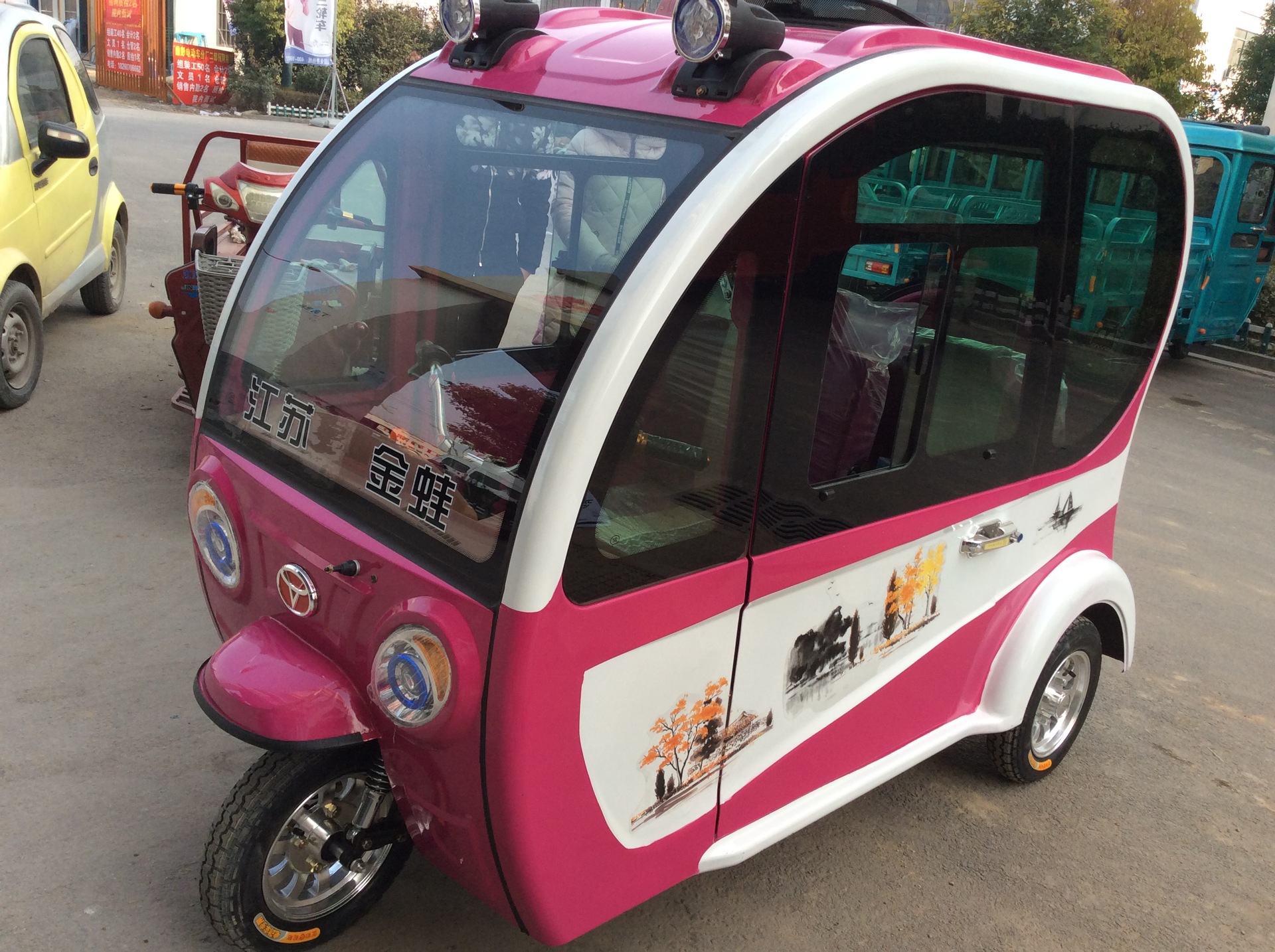 供应金蛙牌封闭电车全封闭两门三座电动三轮车 厂家定做封闭电车